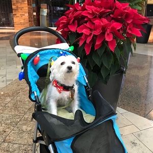 Meet your Posher, Pilar